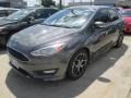 Magnetic Metallic - Focus SE Sedan Photo No. 8