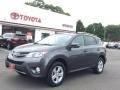 Magnetic Gray Metallic - RAV4 XLE AWD Photo No. 1