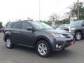 Magnetic Gray Metallic - RAV4 XLE AWD Photo No. 3
