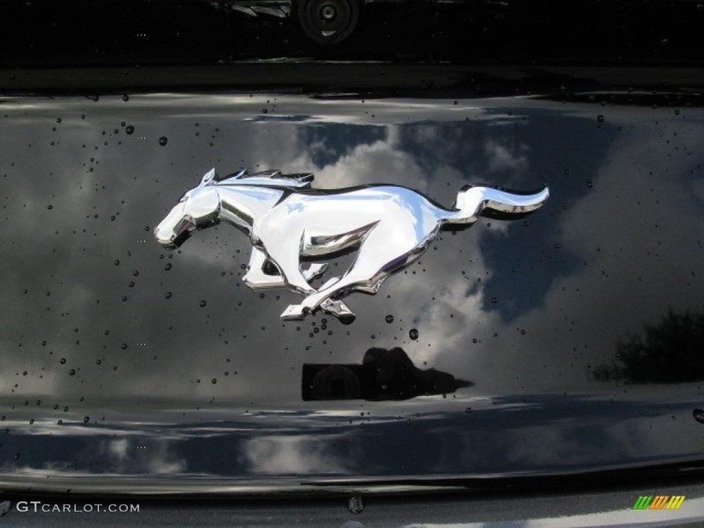 2015 Mustang EcoBoost Coupe - Magnetic Metallic / Ebony photo #10
