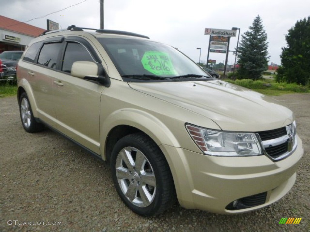White Gold 2010 Dodge Journey SXT AWD Exterior Photo #104577811