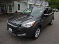 2015 Magnetic Metallic Ford Escape SE 4WD  photo #3