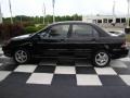 Labrador Black Pearl - Lancer OZ Rally Photo No. 2