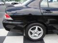 Labrador Black Pearl - Lancer OZ Rally Photo No. 24