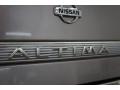 Titanium Frost Pearl - Altima GLE Photo No. 75