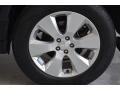 Graphite Gray Metallic - Outback 2.5i Limited Wagon Photo No. 54