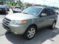 Natural Khaki Green - Santa Fe Limited 4WD Photo No. 4