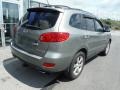 Natural Khaki Green - Santa Fe Limited 4WD Photo No. 7