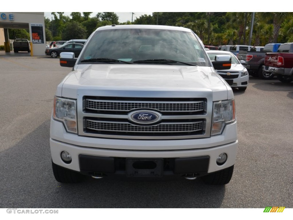 2010 F150 Platinum SuperCrew 4x4 - Ingot Silver Metallic / Sienna Brown Leather/Black photo #3