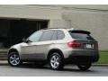 2008 Platinum Bronze Metallic BMW X5 3.0si  photo #7
