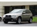 2008 Platinum Bronze Metallic BMW X5 3.0si  photo #42