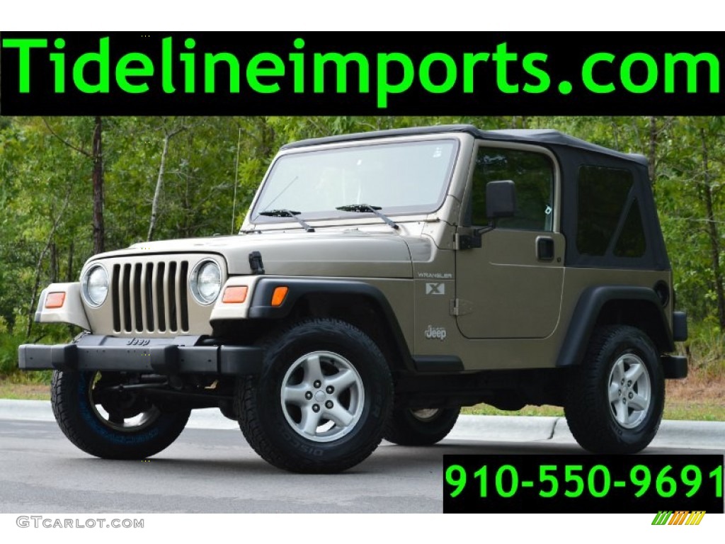 2002 Wrangler X 4x4 - Black / Camel Beige photo #1