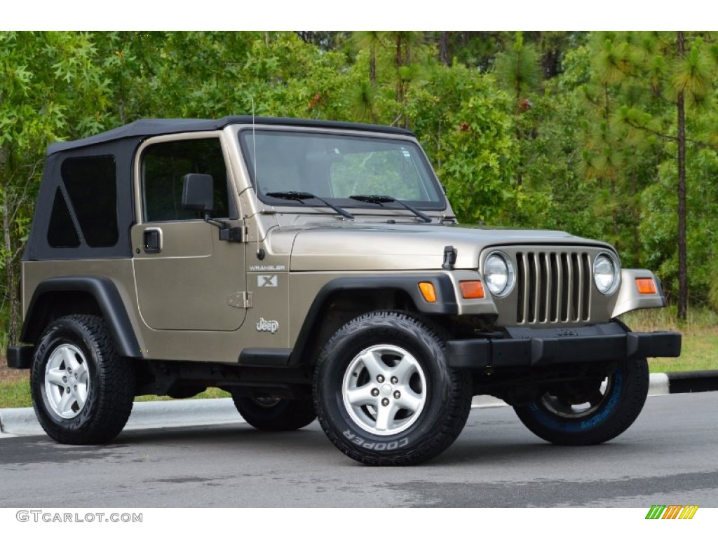 2002 Wrangler X 4x4 - Black / Camel Beige photo #2