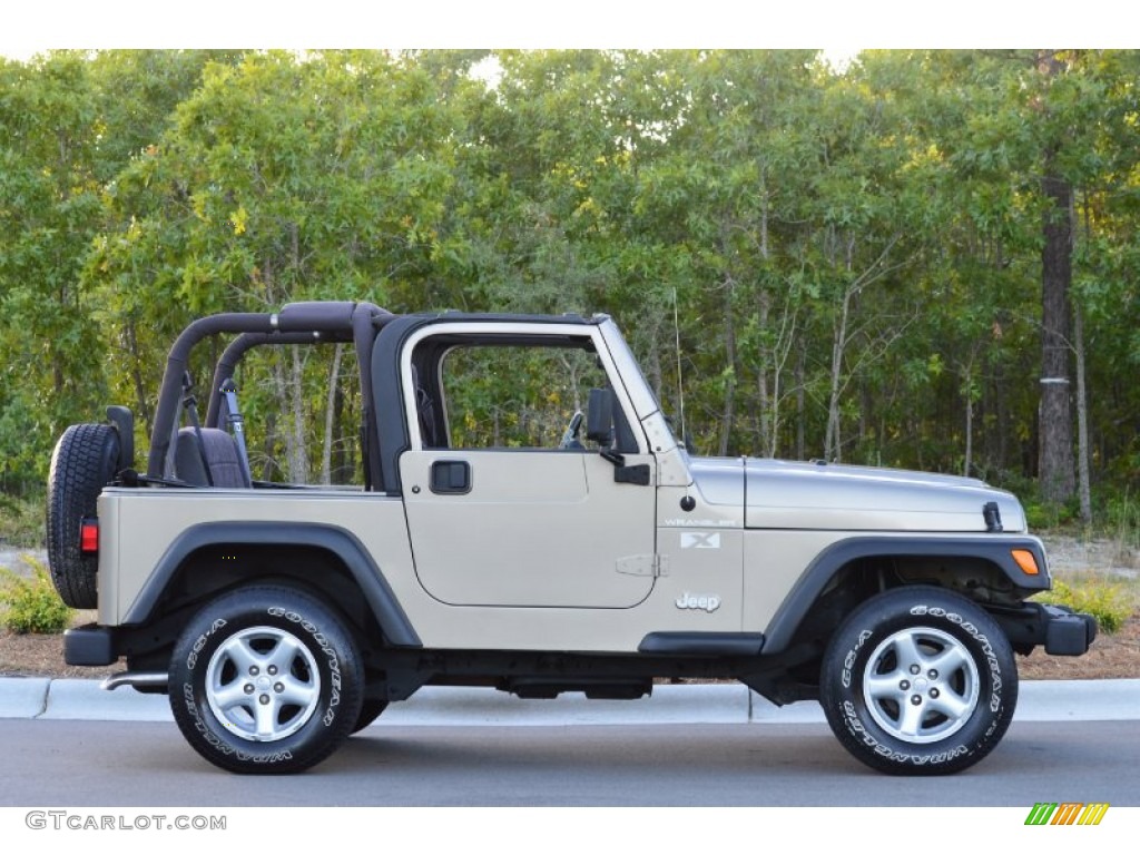 2002 Wrangler X 4x4 - Black / Camel Beige photo #3