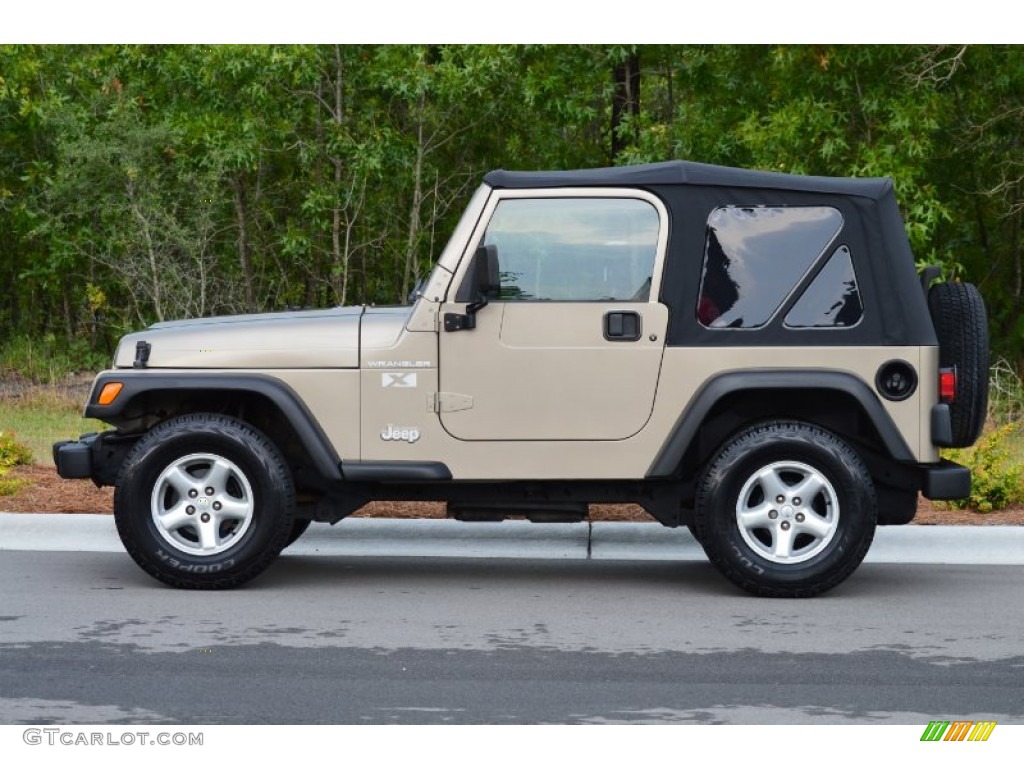 2002 Wrangler X 4x4 - Black / Camel Beige photo #4