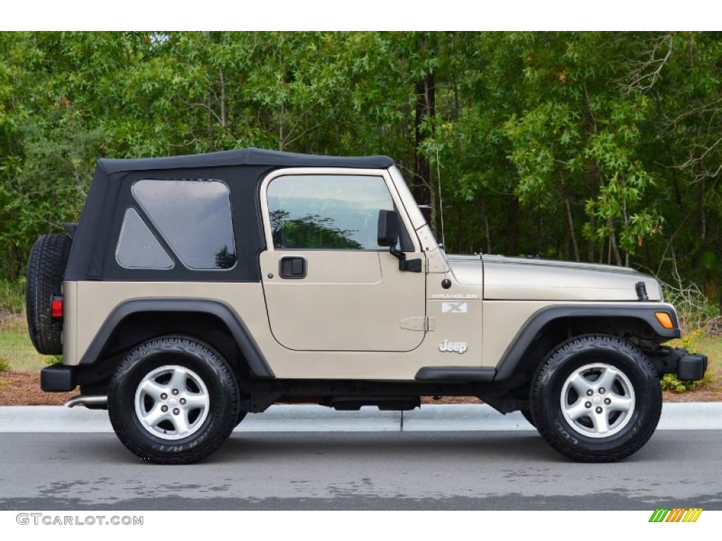 2002 Wrangler X 4x4 - Black / Camel Beige photo #17