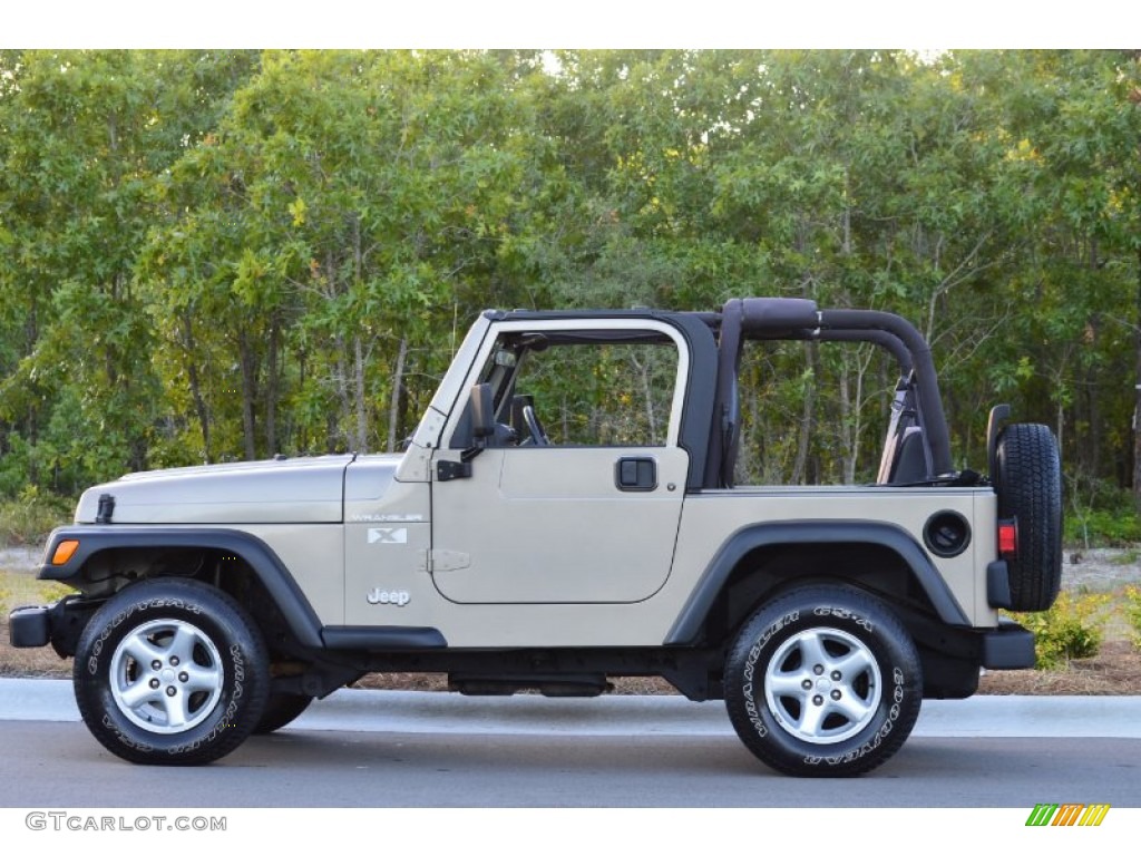 2002 Wrangler X 4x4 - Black / Camel Beige photo #18