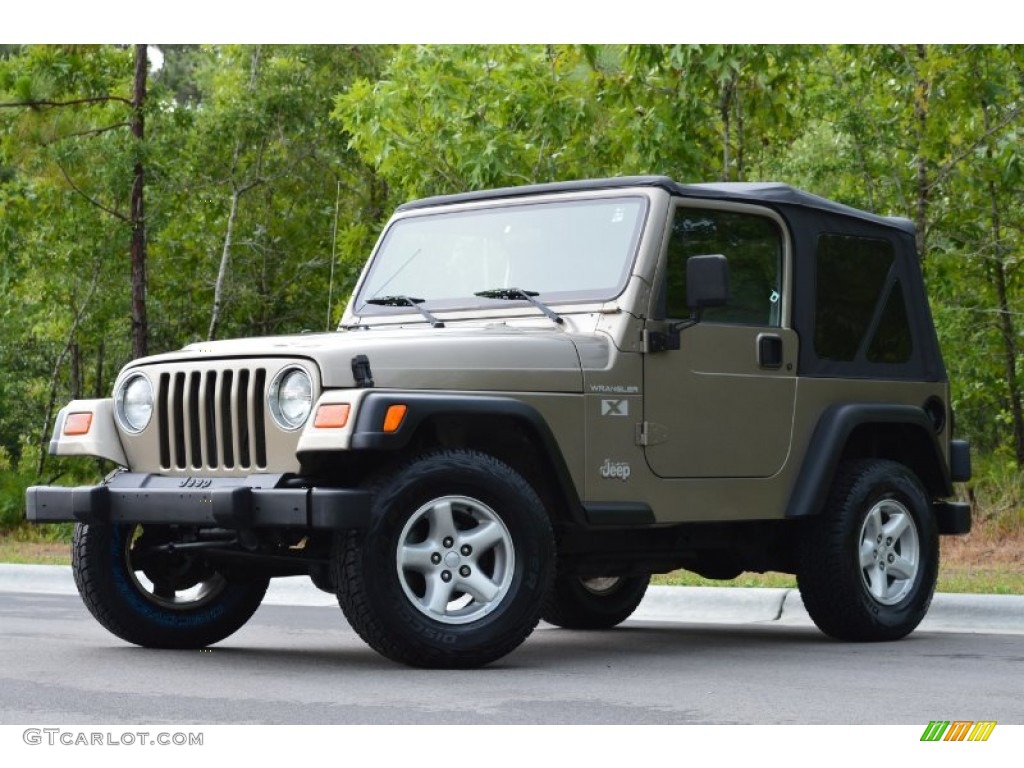 2002 Wrangler X 4x4 - Black / Camel Beige photo #20