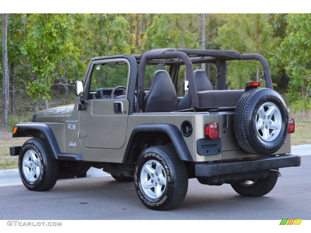 2002 Wrangler X 4x4 - Black / Camel Beige photo #21