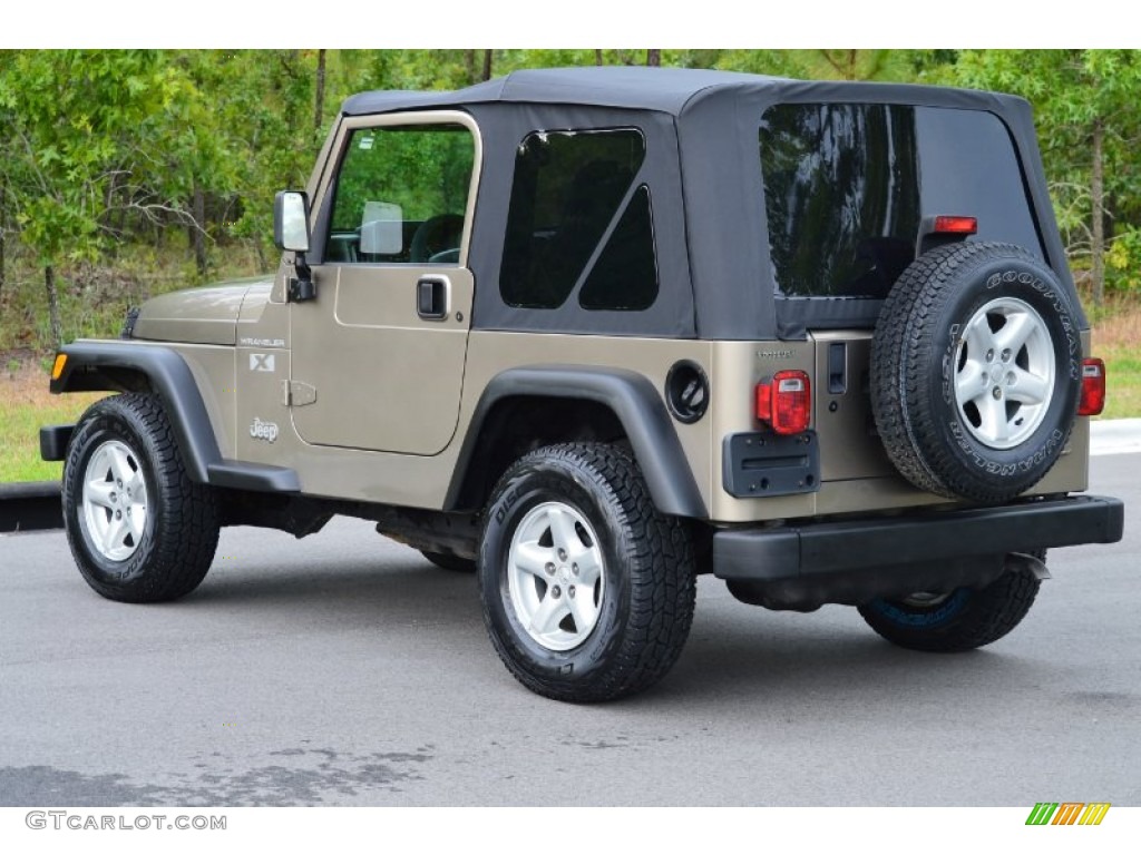 2002 Wrangler X 4x4 - Black / Camel Beige photo #22