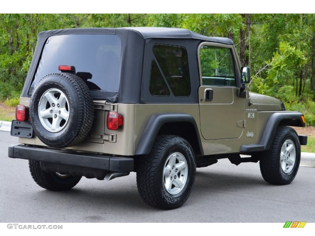 2002 Wrangler X 4x4 - Black / Camel Beige photo #23
