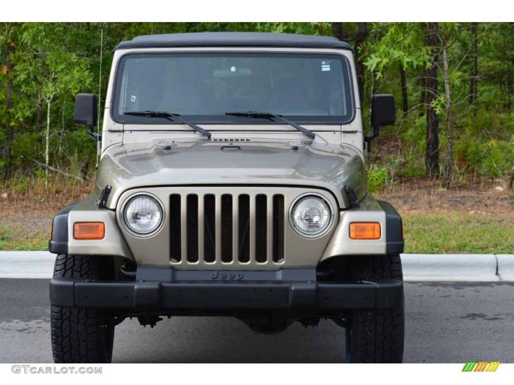 2002 Wrangler X 4x4 - Black / Camel Beige photo #24