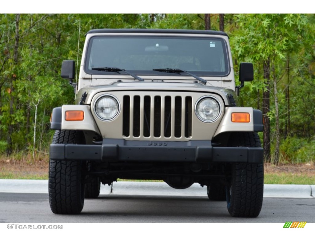 2002 Wrangler X 4x4 - Black / Camel Beige photo #25