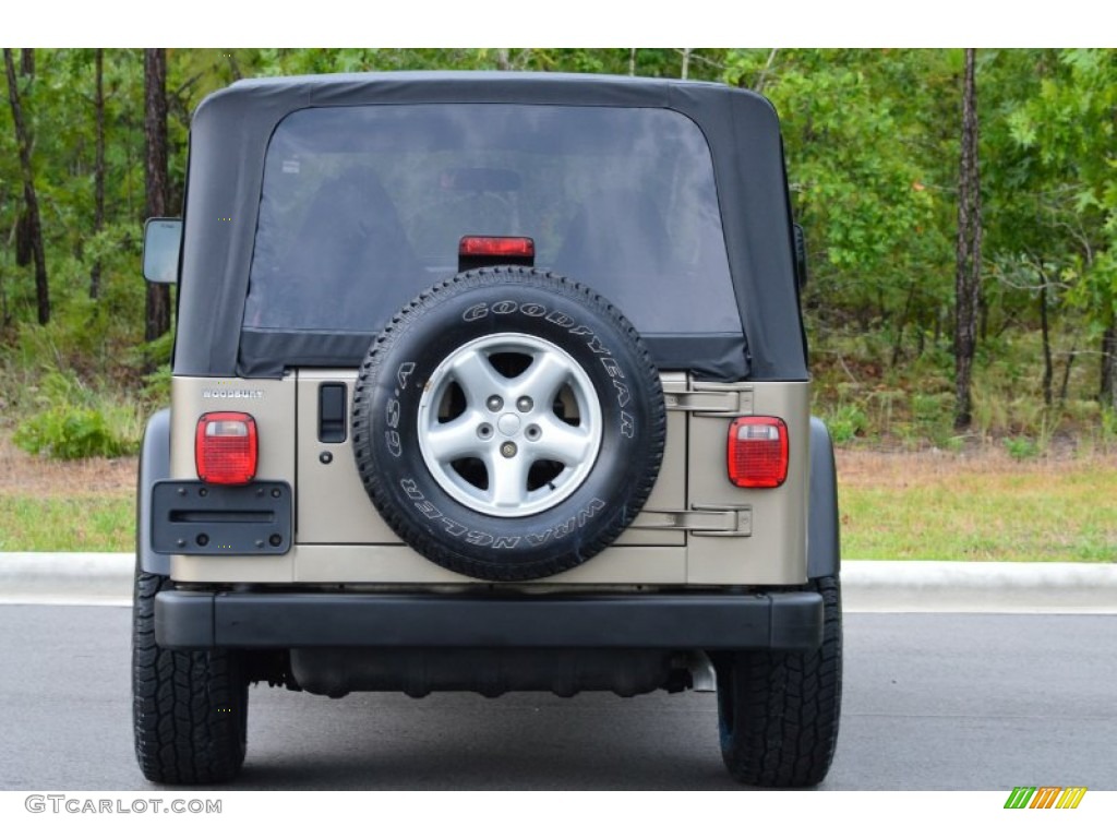 2002 Wrangler X 4x4 - Black / Camel Beige photo #26