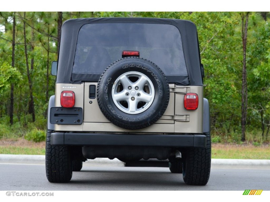 2002 Wrangler X 4x4 - Black / Camel Beige photo #27