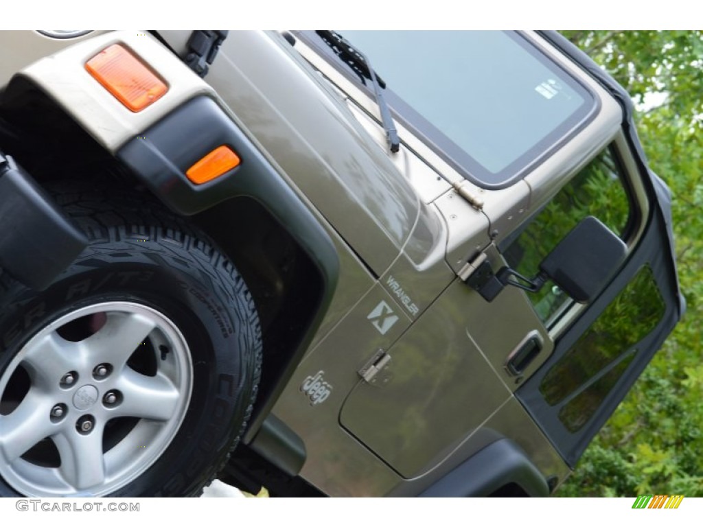 2002 Wrangler X 4x4 - Black / Camel Beige photo #29