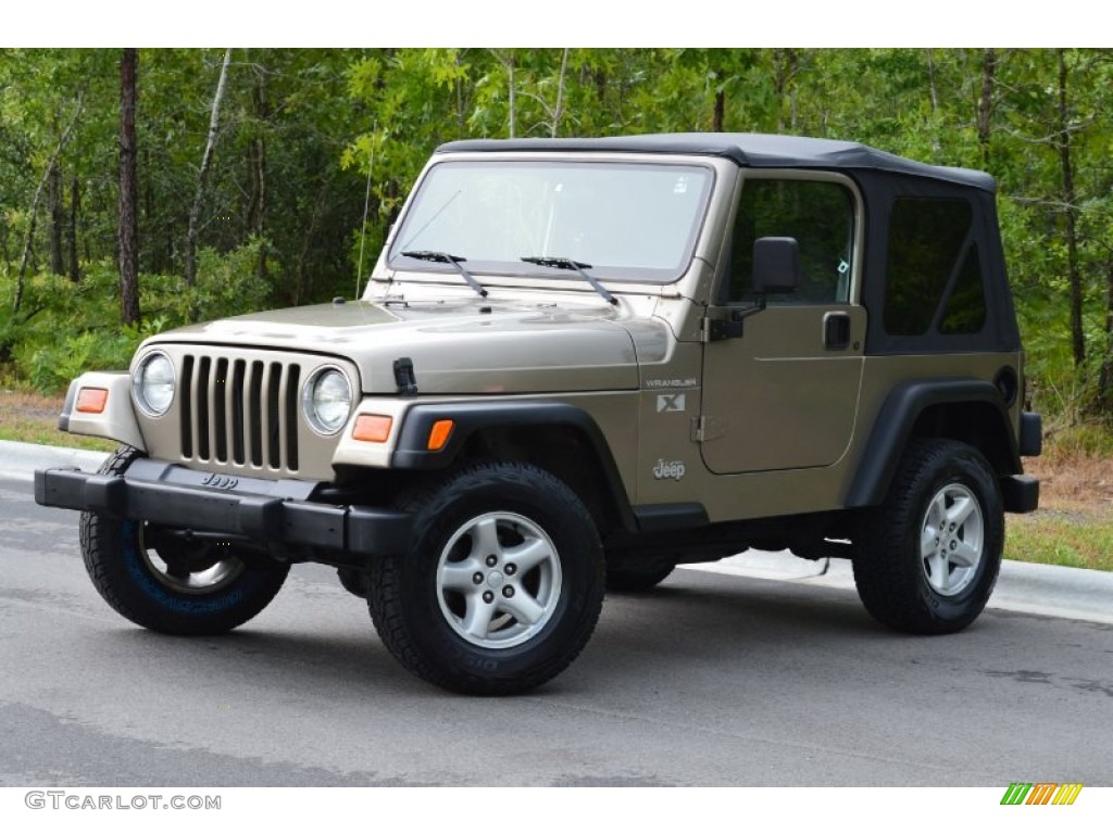 2002 Wrangler X 4x4 - Black / Camel Beige photo #30