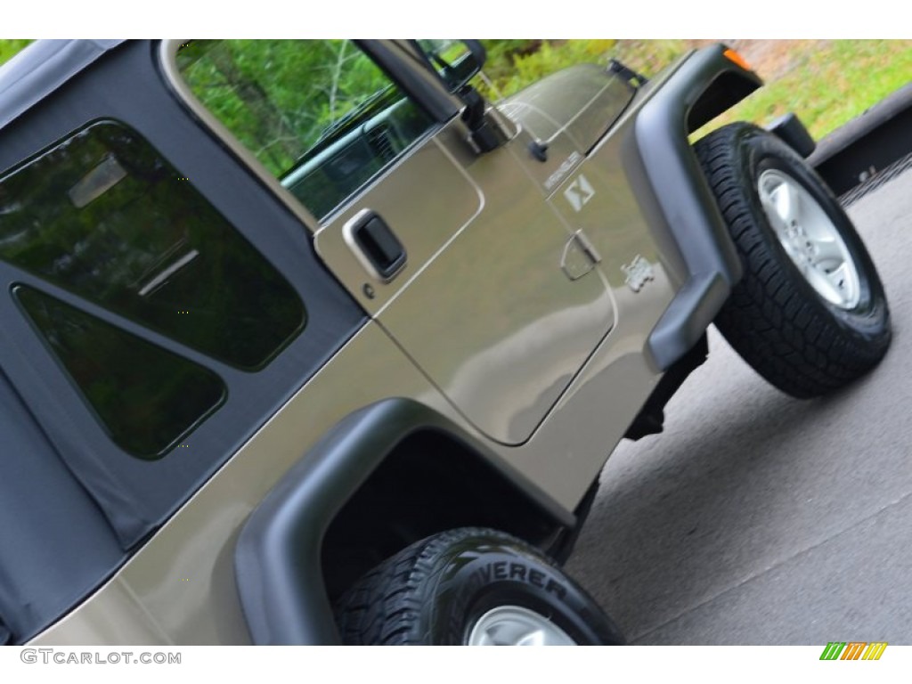2002 Wrangler X 4x4 - Black / Camel Beige photo #31