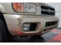 2002 Sahara Beige Metallic Nissan Pathfinder SE 4x4  photo #36