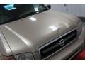 Sahara Beige Metallic - Pathfinder SE 4x4 Photo No. 45