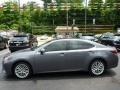 Nebula Gray Pearl - ES 350 Photo No. 1