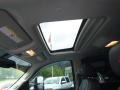 Silver Ice Metallic - Silverado 2500HD LTZ Crew Cab 4x4 Photo No. 14