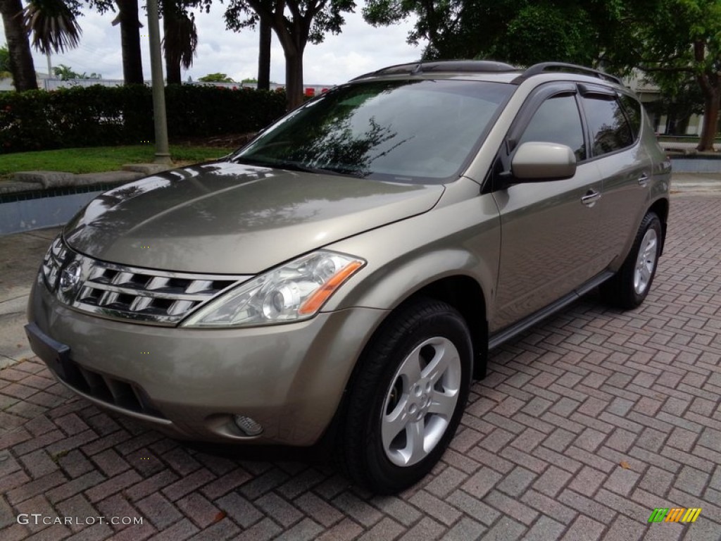 Polished Pewter Metallic Nissan Murano