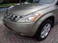 Polished Pewter Metallic - Murano SL AWD Photo No. 34