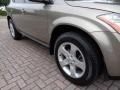 2004 Polished Pewter Metallic Nissan Murano SL AWD  photo #38