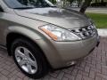 2004 Polished Pewter Metallic Nissan Murano SL AWD  photo #42