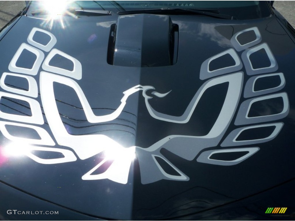 2013 Chevrolet Camaro Projexauto Z/TA Coupe Marks and Logos Photo #104683155