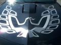 2013 Chevrolet Camaro Projexauto Z/TA Coupe Badge and Logo Photo