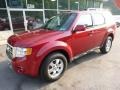 Sangria Red Metallic - Escape Limited V6 4WD Photo No. 9
