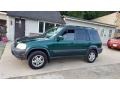  1999 CR-V EX 4WD Clover Green Pearl