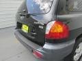 2004 Black Obsidian Hyundai Santa Fe GLS  photo #12