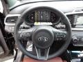 2016 Kia Sorento Limited Merlot Nappa Leather Interior Steering Wheel Photo