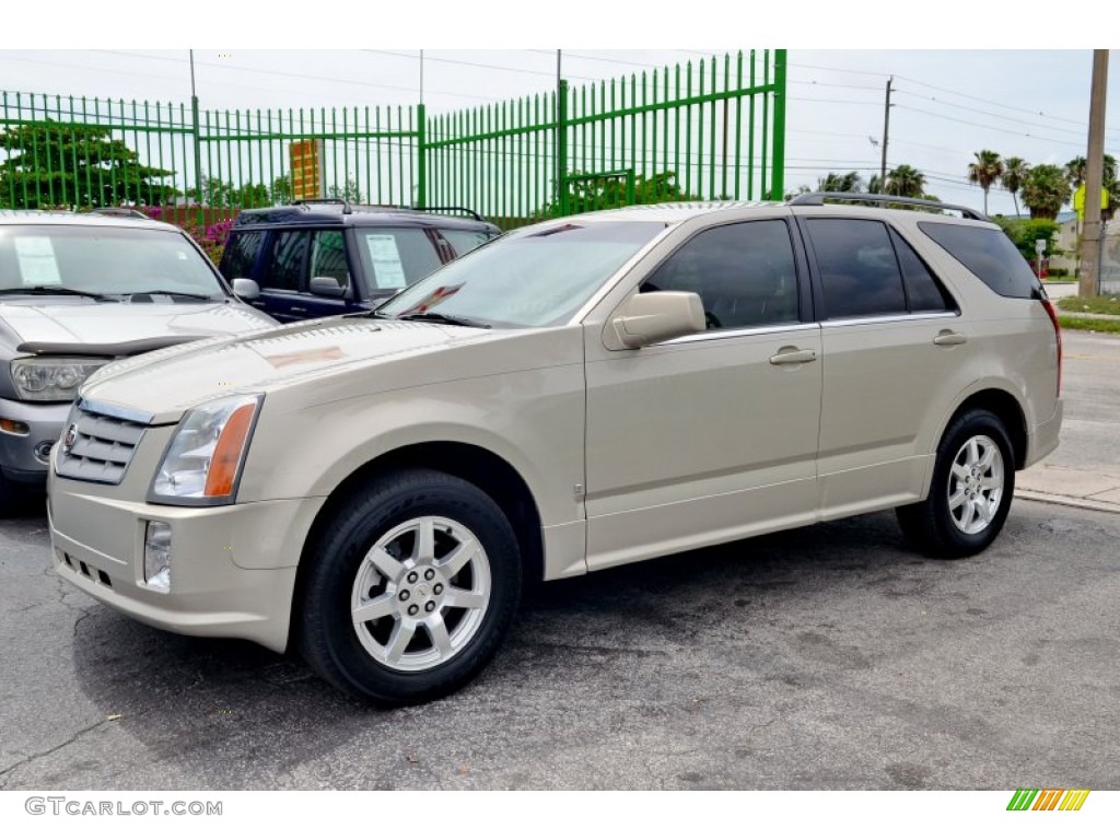 Gold Mist 2007 Cadillac SRX V6 Exterior Photo #104756989