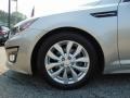 2014 Satin Metal Kia Optima EX  photo #11