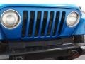2003 Intense Blue Pearl Jeep Wrangler X 4x4  photo #31