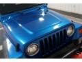 2003 Intense Blue Pearl Jeep Wrangler X 4x4  photo #32